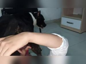 Mariela: where animality reigns supreme