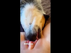 Mexzoo: The funniest tube video for zoo lovers