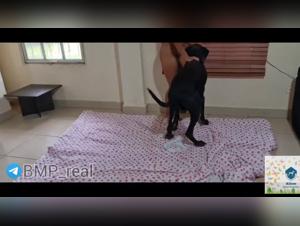 Mia: The Dog Obsession