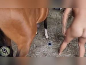 MIA: the wild call - broken taboos with a horse