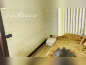 Military festivals and canine desire