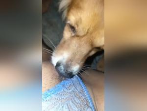 Milly: Unexpected Reactions to Animal Passions