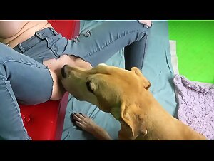 Miss K Sucks Dog Girl - Fap Vid HD & Tickzoo TV