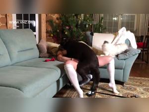 Missionary Obsession: Animal Fantasies Unveiled