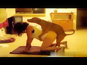 Momy Dog - A mother and her dog