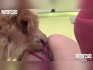 Monica Cool: Summer of Wild Fucks with her Dog