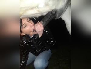 Mount Horse, Animal Fury