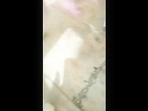 My dog   gets off on a gentle caress that I offer him