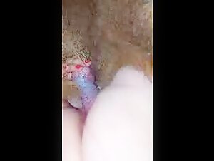 My female dog and Her Dog