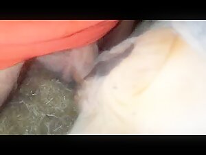 My frolics with a cow