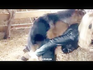 My heart beats like Yasmin did