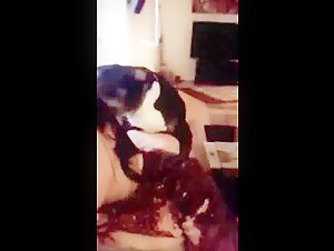 My POV - An Intense Experience with a Dog