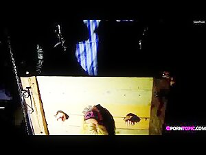 Mystery Unveiled: A Forbidden Encounter