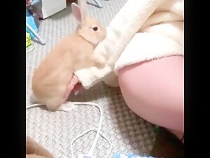 Naughty canine: a beastly experience