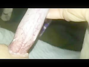 Naughty teenage girl at night with a dog