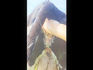 Naughty vacation memories