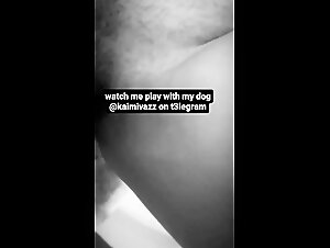 New canine submissive