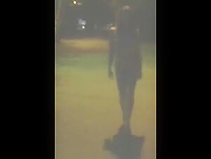 Nude walking with a dog