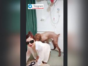 Obscene Delights: Chinese Doggy Fuck - Part 3