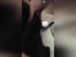 Obscene Delights: Milly abandons herself to canine pleasure