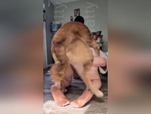 Obscene Delights: Milly Explores Her Bestial Desires