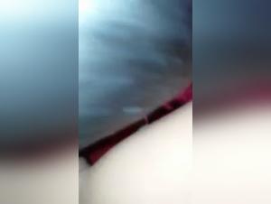 Obscene Delights: The Chihuahua Triangle - Teen - Sex