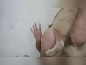 Obscene Desire: Dog Sex Intensifies