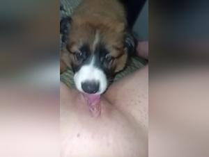 Obscene Revealings: Women & Dogs in Hardcore Sex