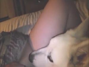 Obscure Delights: Animal Fetish and Insatiable Desire