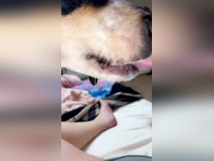 Obsessed Licking: Dog Dominates Slut