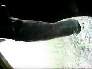 Oiled and caressed horse