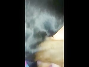 Ok 4 Knees: A Forbidden Encounter with a Dog