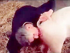 Old man and animals: a forbidden encounter