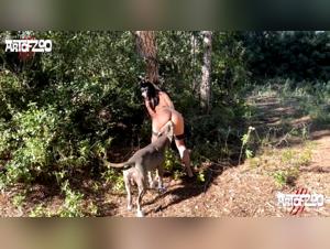 Orgia Bestiale: Tentazioni Selvagge