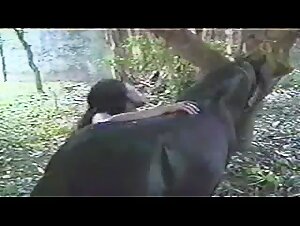 Orse sexy brunette stud