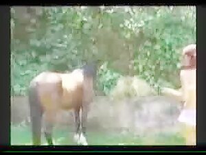 Patricia Paola: A Forbidden Experience with a Horse