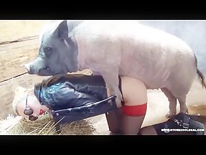 Pig in love with his slut