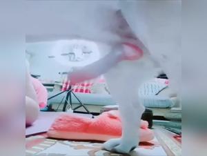 Pink knot, Asian power and submission