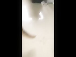 Playful girl with a dog