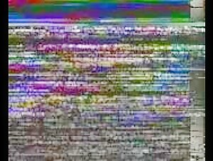 Plump woman and dog: an unexpected encounter