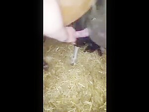 Ponycum - Intimate encounter with a horse