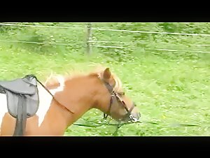 Ponyriding: A Bestial and Exciting Experience