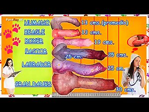 Porn Movie: Dog Lovers Guide You To Animal Pleasure With Their Hottest Slutty Sluts