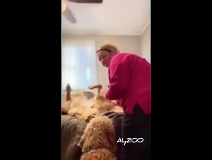 Porn Tier with Women and Their Dogs: Tickzoo TV