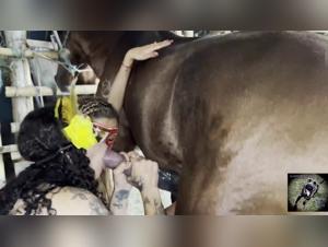 Pornozoofilie: female sluts with dog and beurette slut fucking horse