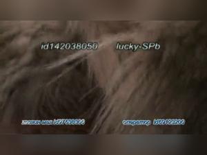 Premiere Folie Feline: The exploration of a forbidden desire