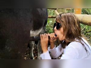 Primal Instinct: Sexual Discoveries with Dog