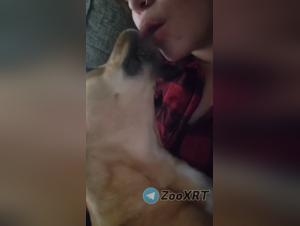 Prohibited delights: animal sex and fantasies