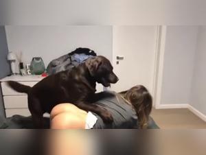 Prohibited Delights: The Intocable Attraction Between Dog and Girl