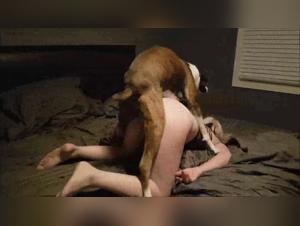 Prohibited paradise: Bestiality without limits